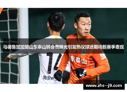 马德鲁加加盟山东泰山转会费曝光引发热议球迷期待新赛季表现