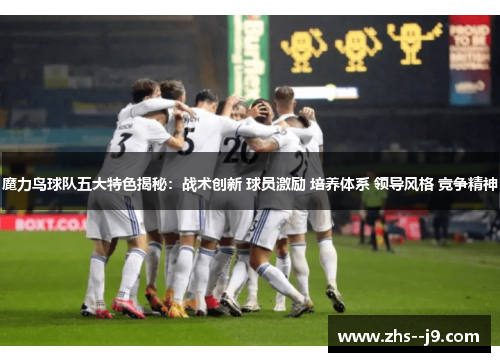 魔力鸟球队五大特色揭秘：战术创新 球员激励 培养体系 领导风格 竞争精神